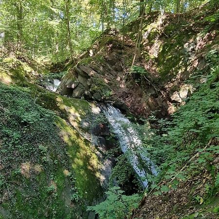 Ferienwohnung Zum Hirschen Herzberg am Harz Kültér fotó