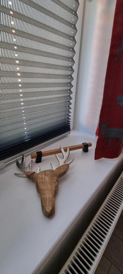 Ferienwohnung Zum Hirschen Herzberg am Harz Kültér fotó
