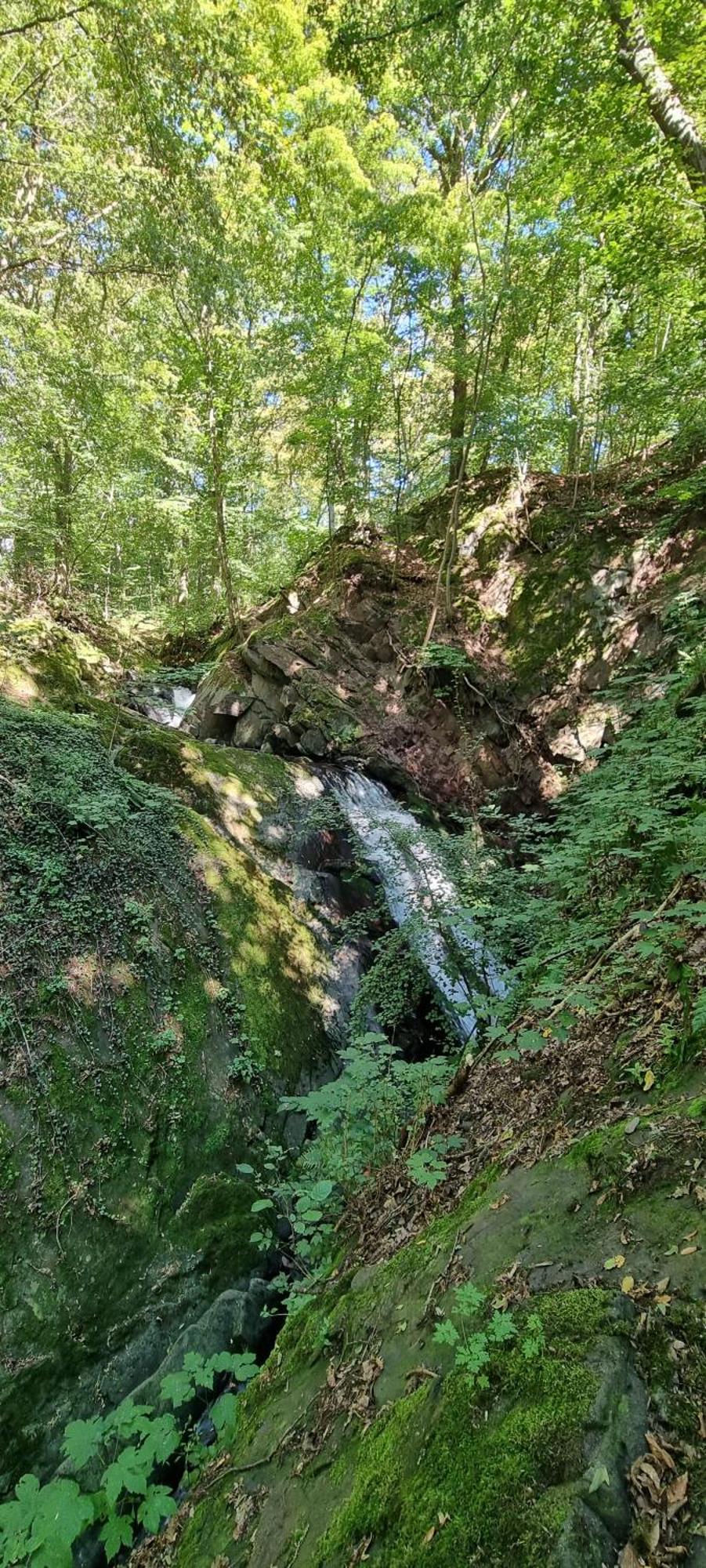 Ferienwohnung Zum Hirschen Herzberg am Harz Kültér fotó
