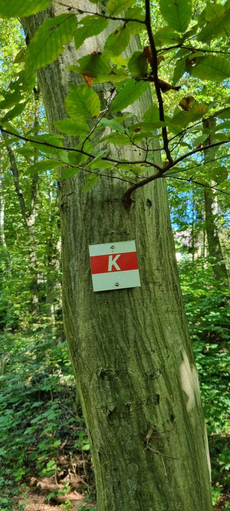 Ferienwohnung Zum Hirschen Herzberg am Harz Kültér fotó